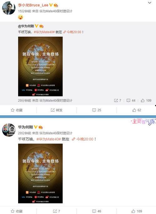 最新蓝皮爆料网站大全视频,揭秘最新热门视频平台全解析